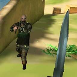 Online Game Fps Assault Shooter